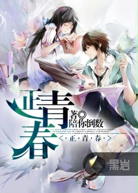 正青春章节列表