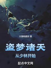 盗梦诸天从少林开始章节列表