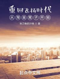 重回飞扬时代：从淘金窝子开始章节列表