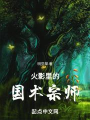 火影里的国术宗师章节列表