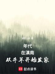 年代：在滇南从牛羊开始发家章节列表