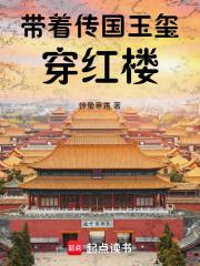 带着传国玉玺穿红楼章节列表