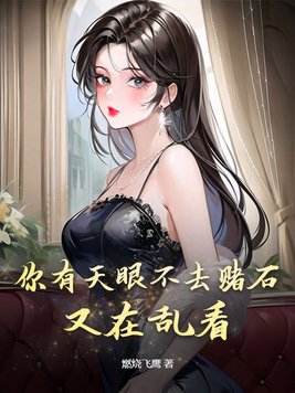你有天眼不去赌石，又在乱看章节列表