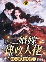 二婚嫁律政大佬，前夫孤独终老了章节列表