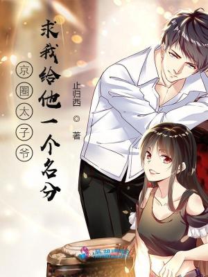 京圈太子爷求我给他一个名分章节列表