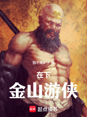 在下，金山游侠章节列表