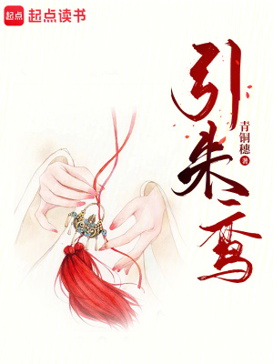 引朱鸾章节列表