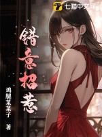 错意招惹章节列表