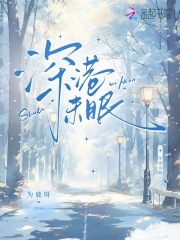 深港未眠章节列表