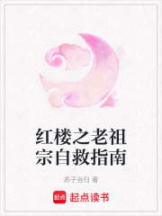 红楼之老祖宗自救指南章节列表