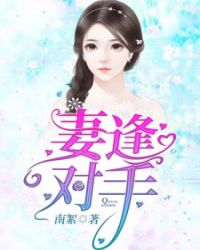 妻逢对手章节列表
