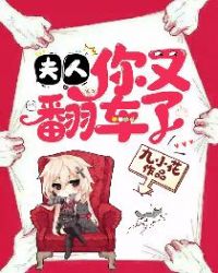 夫人，你又翻车了章节列表