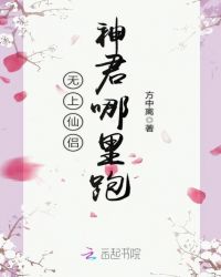无上仙侣章节列表