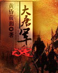 大唐军魂章节列表
