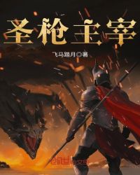 圣枪主宰章节列表