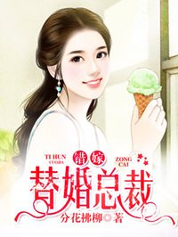 错嫁替婚总裁章节列表
