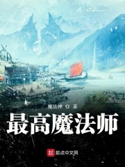 最高魔法师章节列表