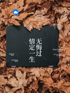 情定一生无悔过微澜子墨章节列表