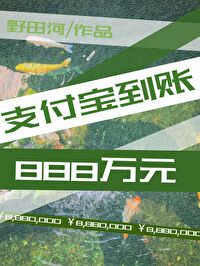 支付宝到账888万元【末世】章节列表