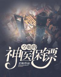 空姐的神医保镖章节列表